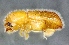  ( - NK2472)  @11 [ ] Copyright (2024) Mikhail Mandelshtam Research collection of Mikhail Mandelshtam