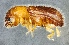  ( - NK2473)  @11 [ ] Copyright (2024) Mikhail Mandelshtam Research collection of Mikhail Mandelshtam
