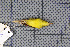  ( - MAR7019)  @12 [ ] Copyright (2013) Patrick Strutzenberger Senckenberg Natural History Collections Dresden