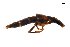  ( - CNCAJB18-108)  @11 [ ] CreativeCommons  Attribution Non-Commercial ShareAlike (2018) Unspecified Canadian National Collection of Insects