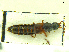  ( - CNCAJB18-15)  @11 [ ] CreativeCommons  Attribution Non-Commercial ShareAlike (2018) Unspecified Canadian National Collection of Insects