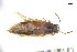 ( - CNCAJB18-76)  @11 [ ] CreativeCommons  Attribution Non-Commercial ShareAlike (2018) Unspecified Canadian National Collection of Insects