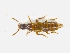 ( - CNCAJB19-44)  @11 [ ] CreativeCommons  Attribution Non-Commercial ShareAlike (2019) Unspecified Canadian National Collection of Insects