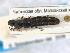  ( - CNCAJB19-113)  @11 [ ] CreativeCommons  Attribution Non-Commercial ShareAlike (2019) Unspecified Canadian National Collection of Insects