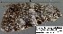  ( - 2144-COI-07)  @13 [ ] Unspecified (default): All Rights Reserved  Unspecified Unspecified