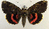  ( - 2162-COI-07)  @14 [ ] Unspecified (default): All Rights Reserved  Unspecified Unspecified