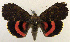  ( - 2163-COI-07)  @14 [ ] Unspecified (default): All Rights Reserved  Unspecified Unspecified