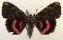  ( - 2164-COI-07)  @14 [ ] Unspecified (default): All Rights Reserved  Unspecified Unspecified