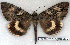  ( - 2196-310705-RU)  @14 [ ] Unspecified (default): All Rights Reserved  Unspecified Unspecified
