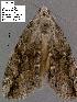  ( - 3289-COI-08)  @12 [ ] Unspecified (default): All Rights Reserved  Unspecified Unspecified