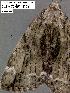  ( - 3296-COI-08)  @12 [ ] Unspecified (default): All Rights Reserved  Unspecified Unspecified