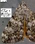  ( - 3325-COI-08)  @11 [ ] Unspecified (default): All Rights Reserved  Unspecified Unspecified