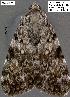  ( - 3326-COI-08)  @11 [ ] Unspecified (default): All Rights Reserved  Unspecified Unspecified