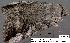  ( - 3360-COI-08)  @12 [ ] Unspecified (default): All Rights Reserved  Unspecified Unspecified