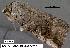  ( - 3362-COI-08)  @12 [ ] Unspecified (default): All Rights Reserved  Unspecified Unspecified