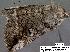  ( - 3363-COI-08)  @12 [ ] Unspecified (default): All Rights Reserved  Unspecified Unspecified