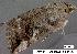  ( - 3364-COI-08)  @12 [ ] Unspecified (default): All Rights Reserved  Unspecified Unspecified