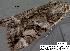  ( - 3365-COI-08)  @12 [ ] Unspecified (default): All Rights Reserved  Unspecified Unspecified