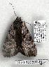  ( - 2023-120507-FL)  @13 [ ] Unspecified (default): All Rights Reserved  Unspecified Unspecified