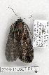  ( - 2044-110507-FL)  @13 [ ] Unspecified (default): All Rights Reserved  Unspecified Unspecified