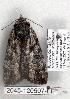  ( - 2045-120507-FL)  @13 [ ] Unspecified (default): All Rights Reserved  Unspecified Unspecified