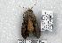 ( - 2063-140507-FL)  @12 [ ] Unspecified (default): All Rights Reserved  Unspecified Unspecified