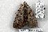  ( - 2065-130507-FL)  @12 [ ] Unspecified (default): All Rights Reserved  Unspecified Unspecified