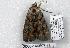  ( - 2066-140507-FL)  @12 [ ] Unspecified (default): All Rights Reserved  Unspecified Unspecified