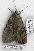  ( - 2078-250807-WI)  @12 [ ] Unspecified (default): All Rights Reserved  Unspecified Unspecified