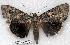  ( - 2082-150801-IN)  @13 [ ] Copyright (2008) Unspecified Research Collection of Robert J. Borth