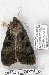  ( - 2086-070707-WI)  @12 [ ] Unspecified (default): All Rights Reserved  Unspecified Unspecified
