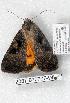  ( - 2087-070707-WI)  @12 [ ] Unspecified (default): All Rights Reserved  Unspecified Unspecified