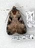  ( - 2088-070707-WI)  @12 [ ] Unspecified (default): All Rights Reserved  Unspecified Unspecified