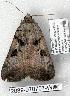  ( - 2089-070707-WI)  @12 [ ] Copyright (2008) Unspecified Research Collection of Robert J. Borth