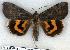  ( - 2175-300705-RU)  @14 [ ] Unspecified (default): All Rights Reserved  Unspecified Unspecified