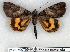  ( - 2176-300705-RU)  @14 [ ] Unspecified (default): All Rights Reserved  Unspecified Unspecified
