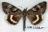  ( - 2193-310705-RU)  @15 [ ] Unspecified (default): All Rights Reserved  Unspecified Unspecified