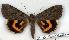  ( - 2214-300705-RU)  @14 [ ] Unspecified (default): All Rights Reserved  Unspecified Unspecified