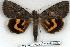 ( - 2216-300705-RU)  @14 [ ] Unspecified (default): All Rights Reserved  Unspecified Unspecified