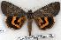  ( - 2218-300705-RU)  @14 [ ] Unspecified (default): All Rights Reserved  Unspecified Unspecified