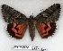  ( - 2272-230705-RU)  @14 [ ] Unspecified (default): All Rights Reserved  Unspecified Unspecified