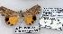 (Anydrophila sp. 2 - 2287-190500-KA)  @13 [ ] Unspecified (default): All Rights Reserved  Unspecified Unspecified