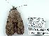  ( - 2313-180507-FL)  @12 [ ] Unspecified (default): All Rights Reserved  Unspecified Unspecified