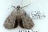  ( - 2315-130507-FL)  @14 [ ] Unspecified (default): All Rights Reserved  Unspecified Unspecified