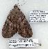  ( - 2322-140507-FL)  @12 [ ] Unspecified (default): All Rights Reserved  Unspecified Unspecified