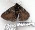  ( - 2376-290405-FL)  @11 [ ] Unspecified (default): All Rights Reserved  Unspecified Unspecified