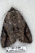  ( - 5014-080608-MS)  @12 [ ] Unspecified (default): All Rights Reserved  Unspecified Unspecified