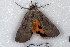  ( - 5023-250508-TX)  @13 [ ] Unspecified (default): All Rights Reserved  Unspecified Unspecified