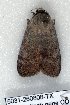  ( - 5031-260808-TX)  @12 [ ] Unspecified (default): All Rights Reserved  Unspecified Unspecified