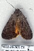  ( - 5032-260808-TX)  @12 [ ] Unspecified (default): All Rights Reserved  Unspecified Unspecified